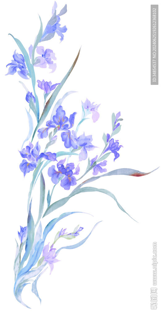 水彩花