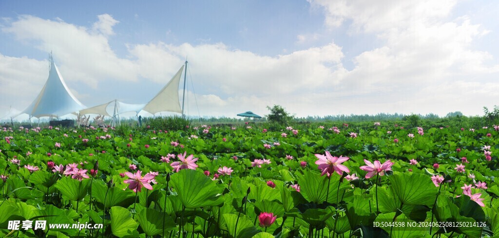 泗洪风景摄影图