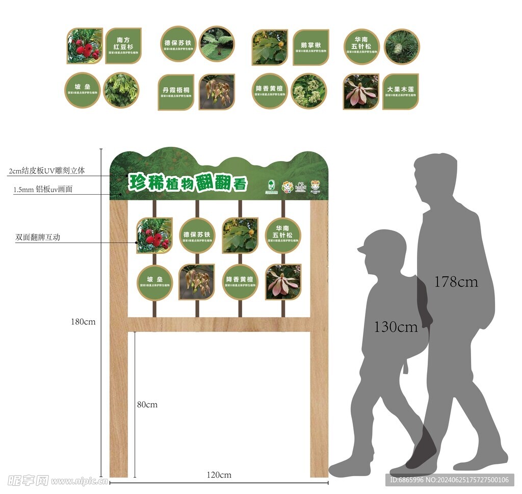 珍稀植物翻翻看