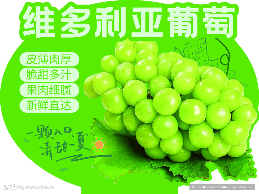 维多利亚葡萄
