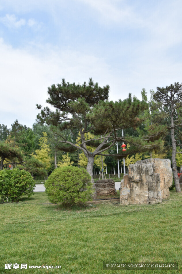 公园图片
