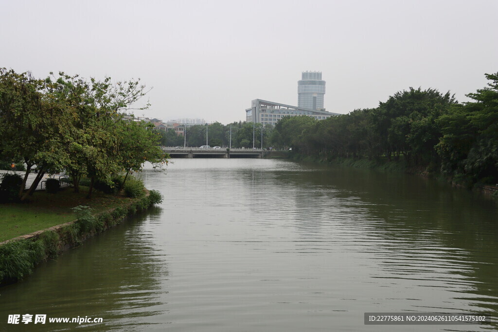 广东肇庆景区鲜花景色