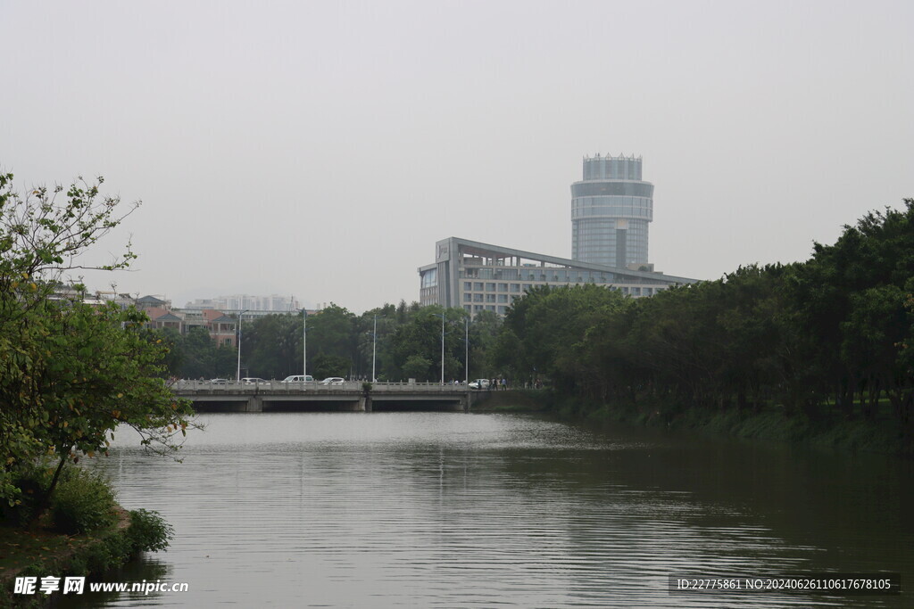 广东肇庆景区鲜花景色