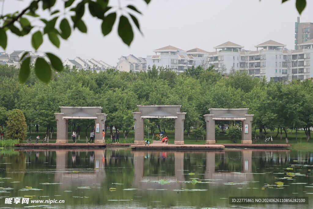 广东肇庆景区鲜花景色