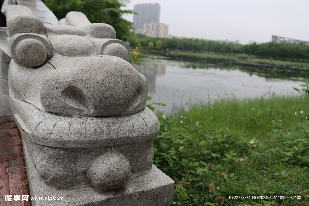 广东肇庆景区鲜花景色