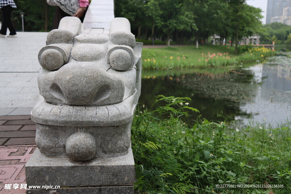 广东肇庆景区鲜花景色