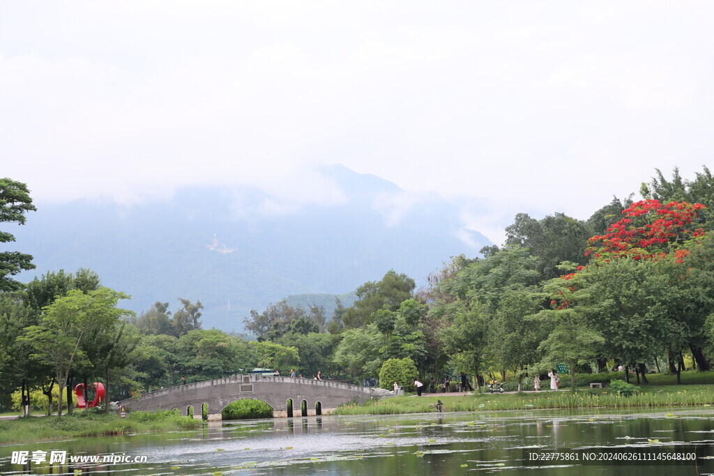 广东肇庆景区鲜花景色