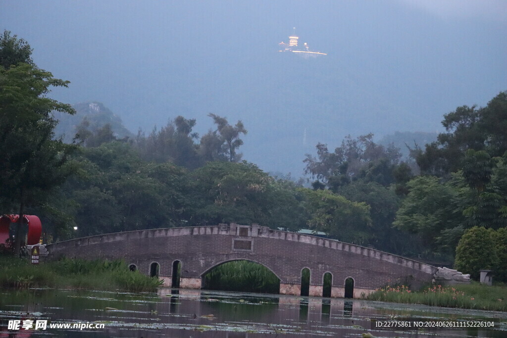 广东肇庆景区鲜花景色