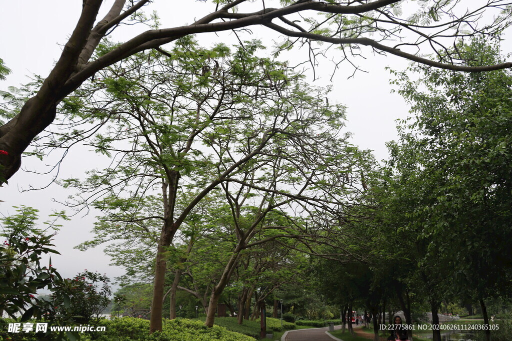 广东肇庆景区鲜花景色