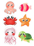 海洋生物