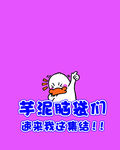 芋泥脑袋闷 速来我这集结 集合