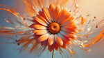 一朵抽象的橘色花瓣的雏菊，水平旋转，抽象，多彩，弥散风，透明丝绸质感，漫射渐变，透明，晶莹剔透，华丽高光，柔光，