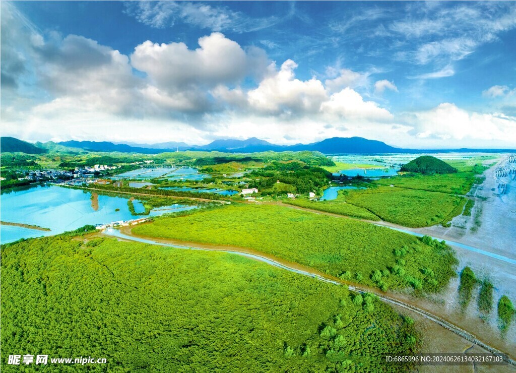 红树林湿地