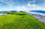 红树林湿地