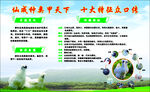 泰和乌鸡简介