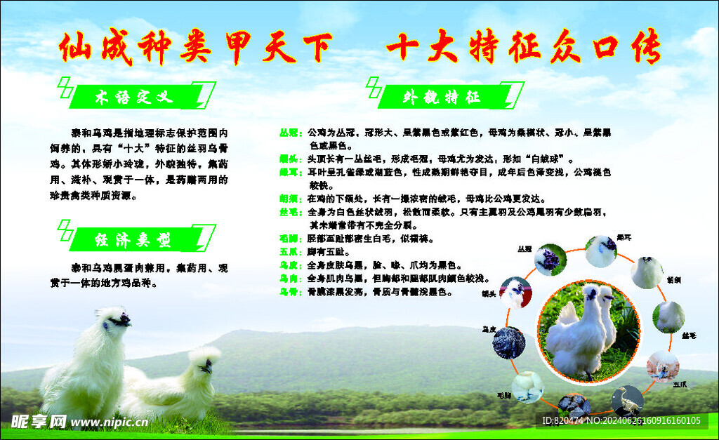 泰和乌鸡简介