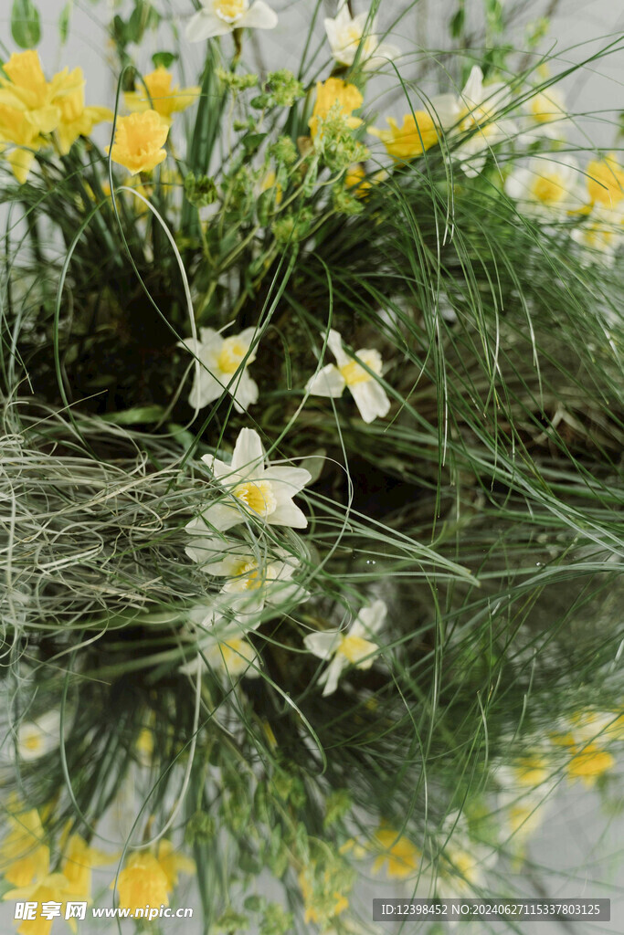 水仙花