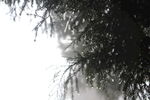 雾水晨露