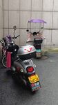 电动车