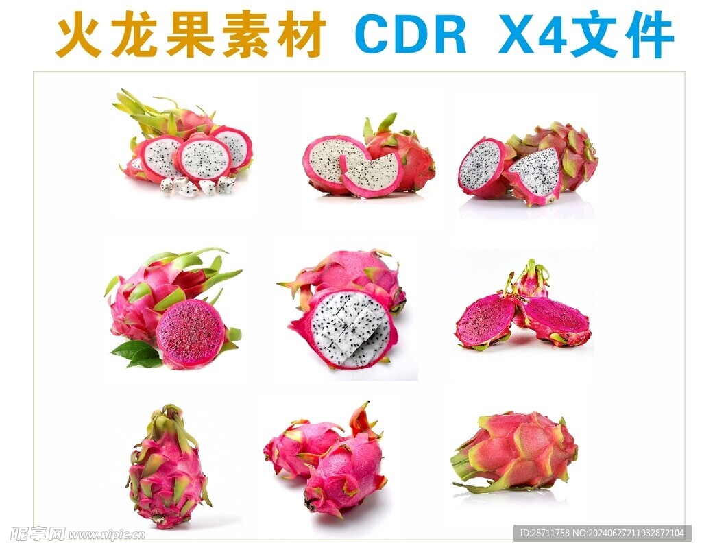 火龙果素材