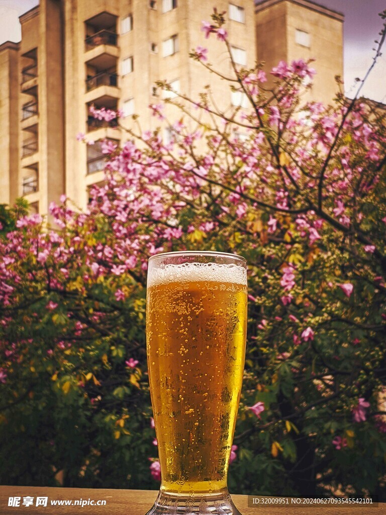 啤酒             