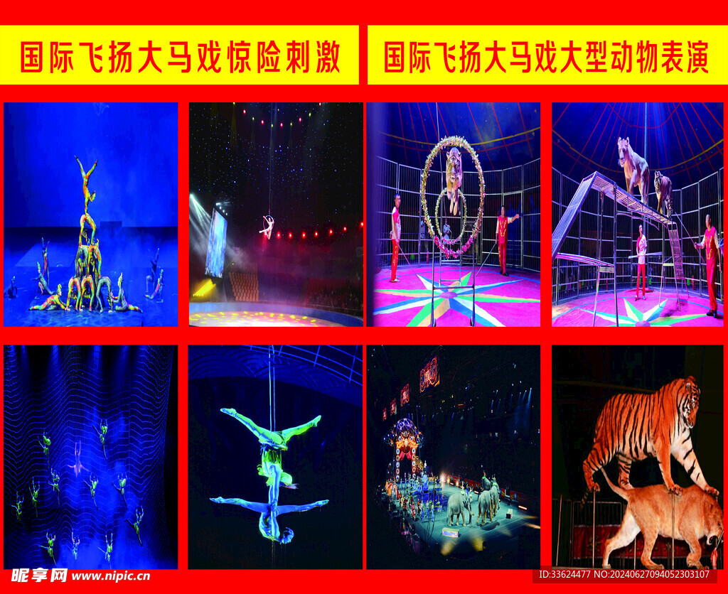 马戏
