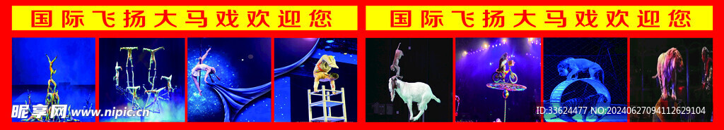 马戏团