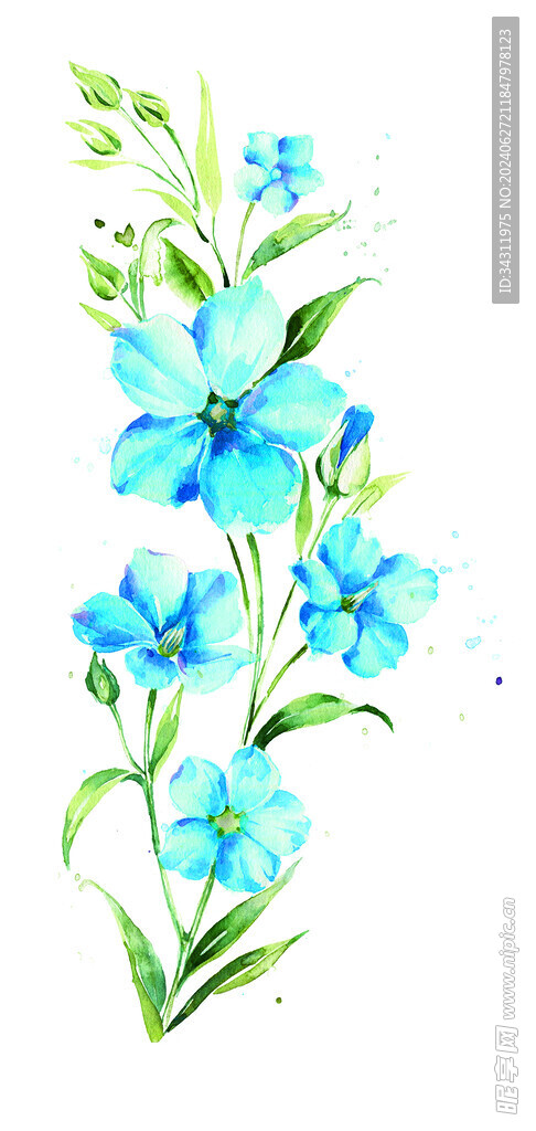 定位花