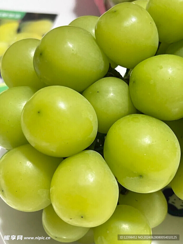葡萄