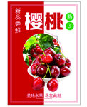 樱桃