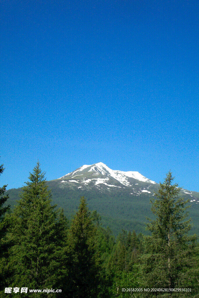 雪山森林