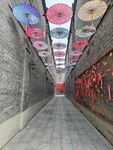 油纸伞天幕