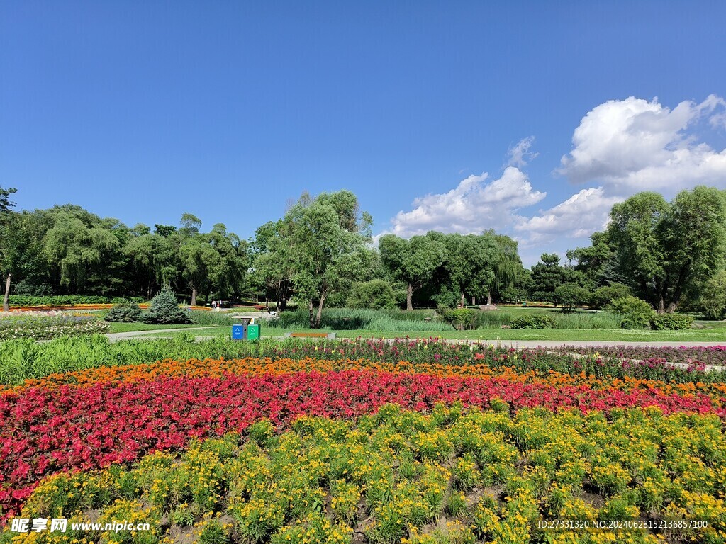 太阳岛花园