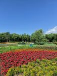 太阳岛花园