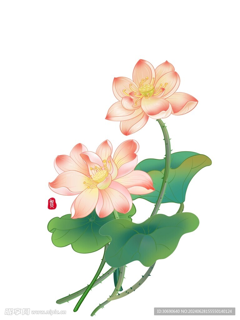 荷花门帘