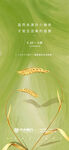 小满节气海报