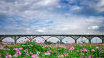 花香长岗坡