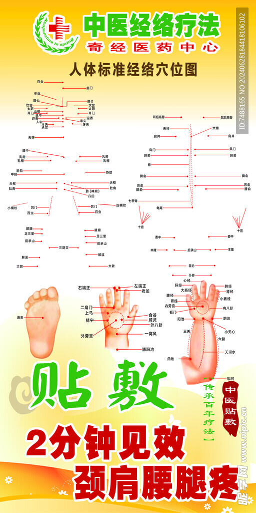 中医经络