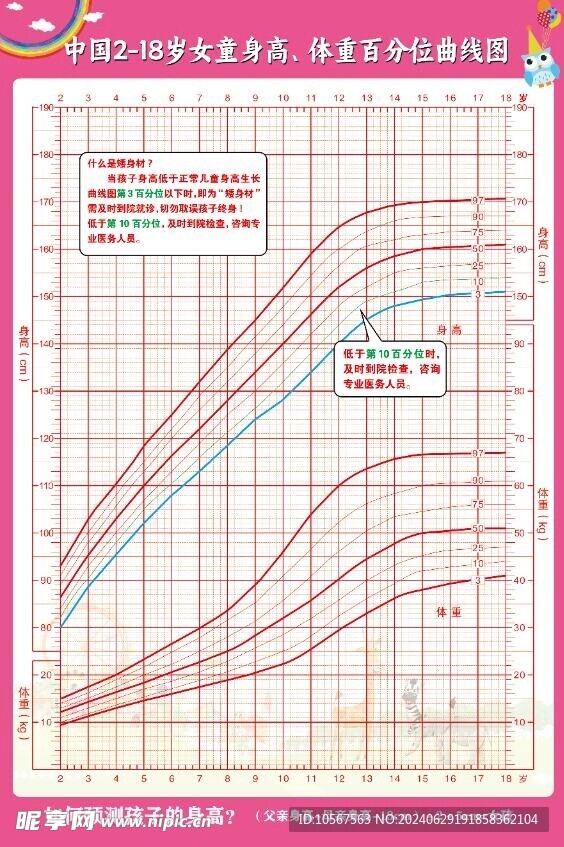 女童身高体重曲线图