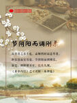 节阴阳而调刚柔