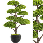 C4D模型 绿色植物