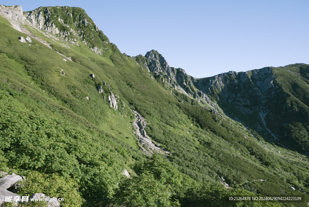 山景