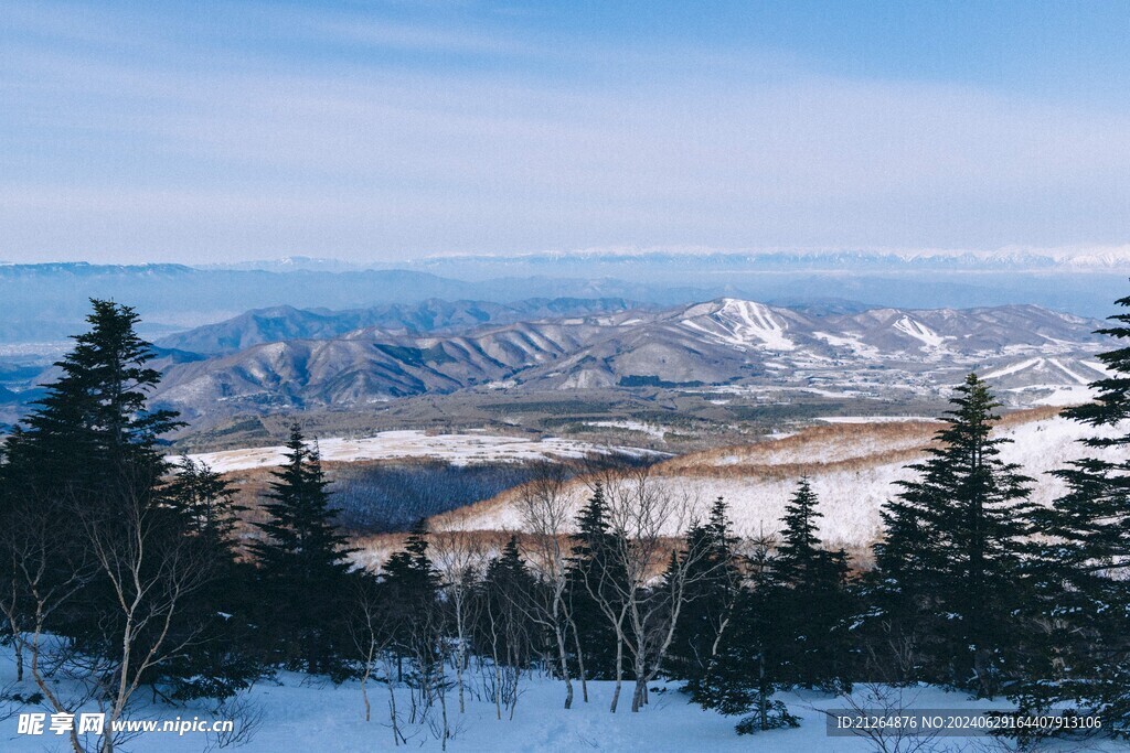 雪景