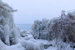 雪地美景