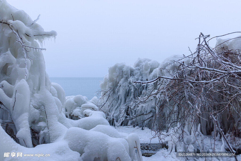 雪地美景