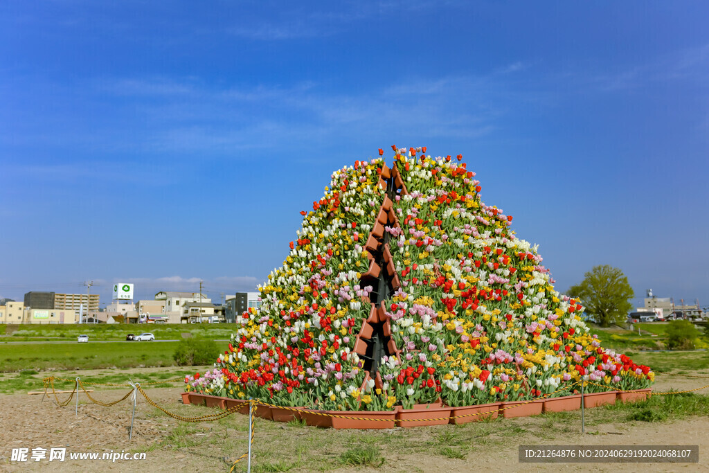 郁金香花展