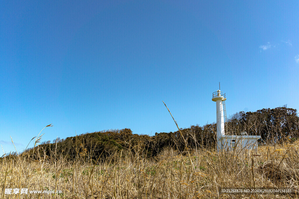 草地天空