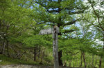 白根山