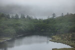 湖景