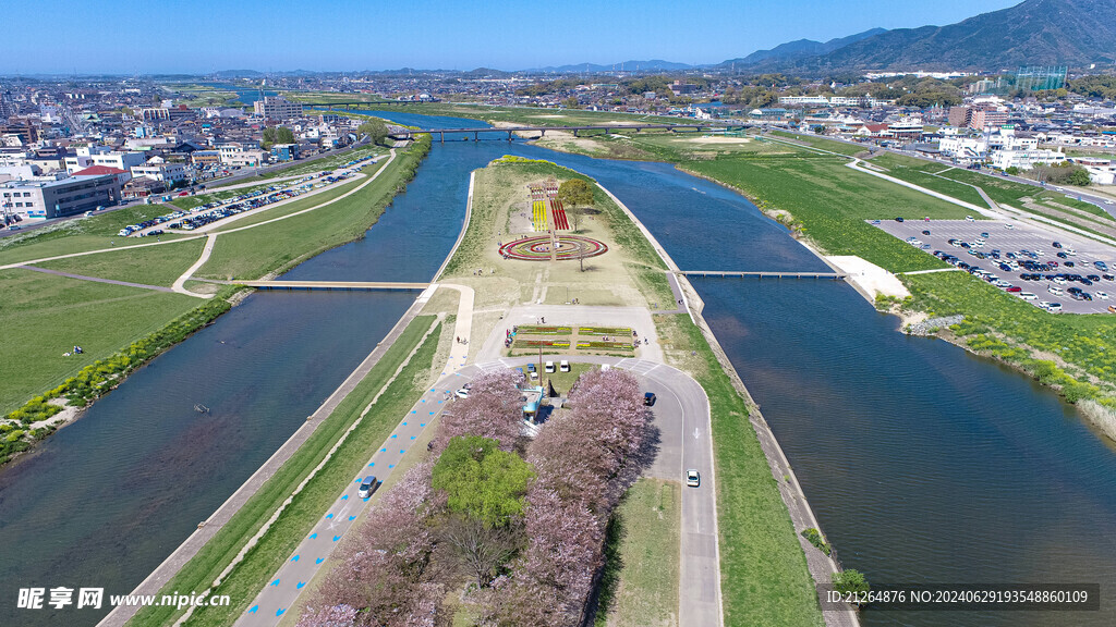 半岛郁金香花展